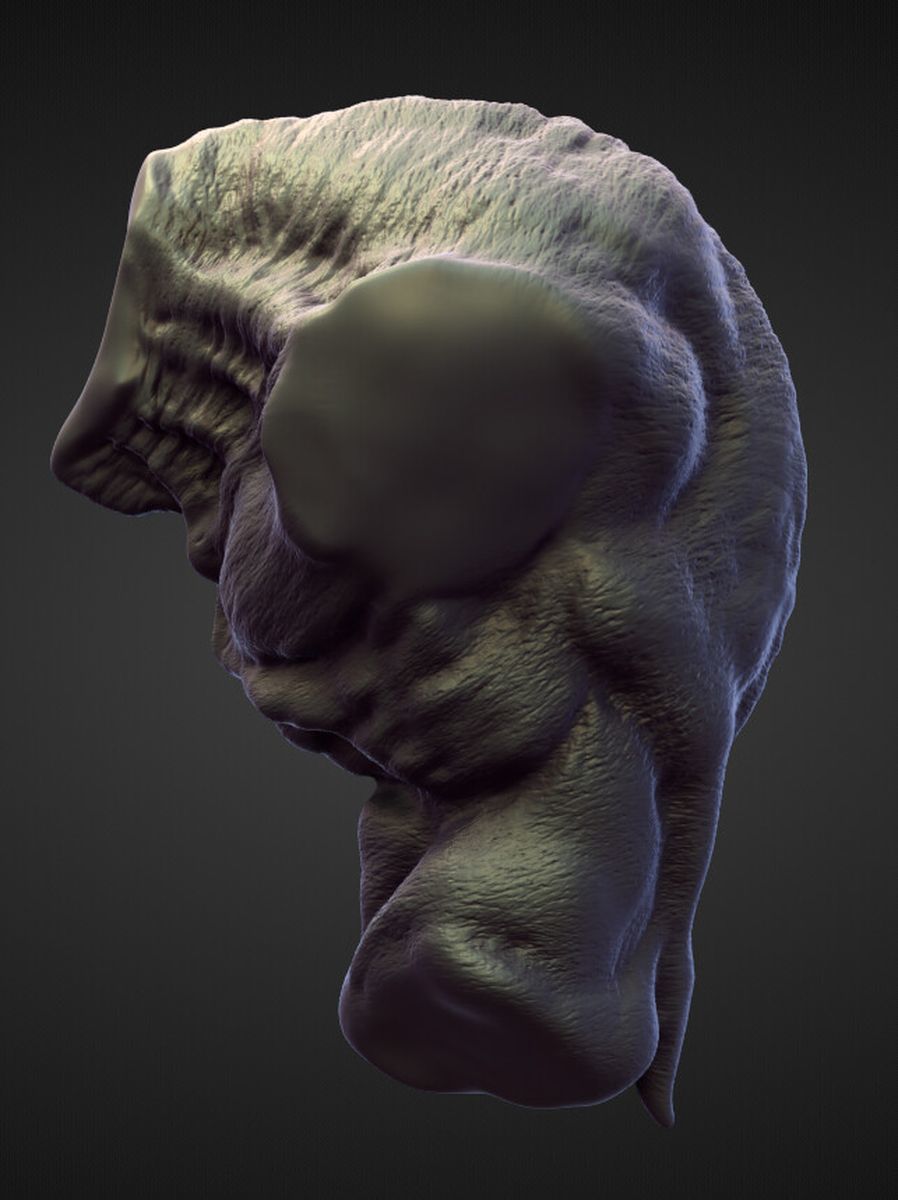 TORSO21 high poly sculpt 3D model_1
