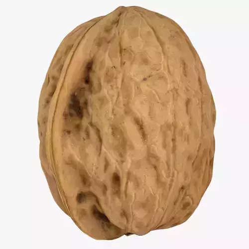 Walnut