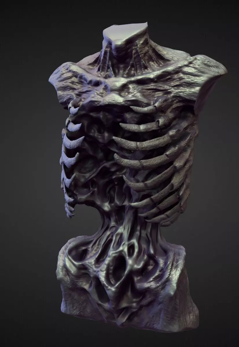 TORSO24 high poly sculpt 3D model_0