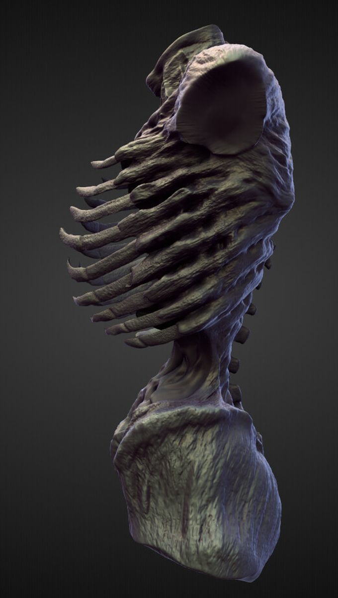 TORSO24 high poly sculpt 3D model_2