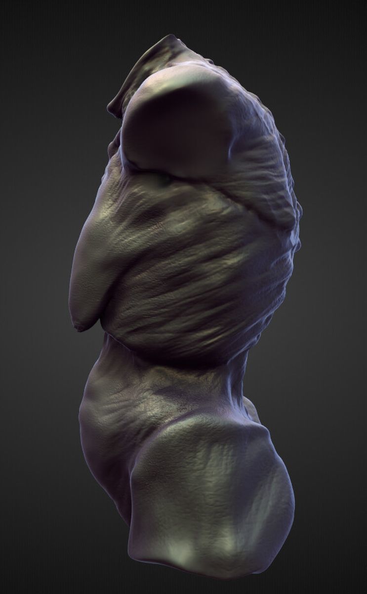 TORSO27 high poly sculpt 3D model_1