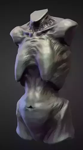 TORSO27 high poly sculpt 3D model