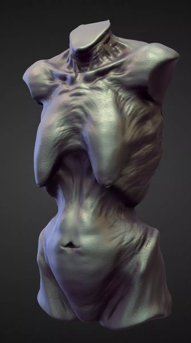 TORSO27 high poly sculpt 3D model_0