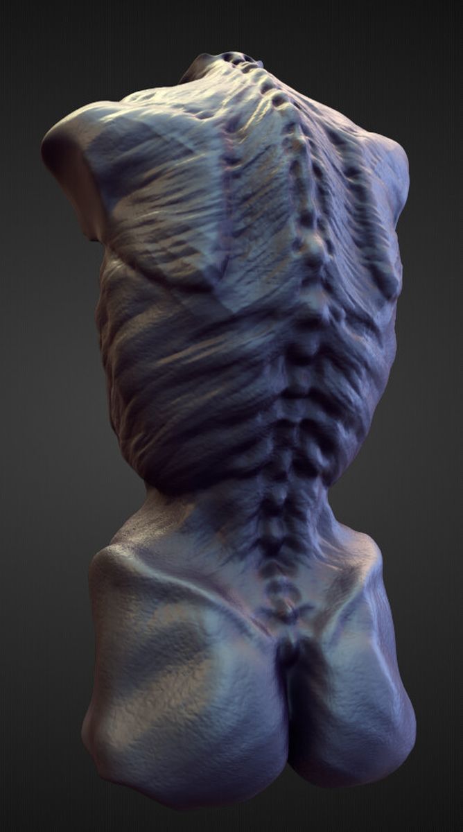 TORSO27 high poly sculpt 3D model_2