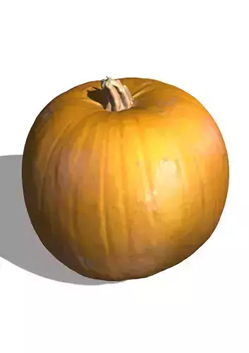Pumpkin scan