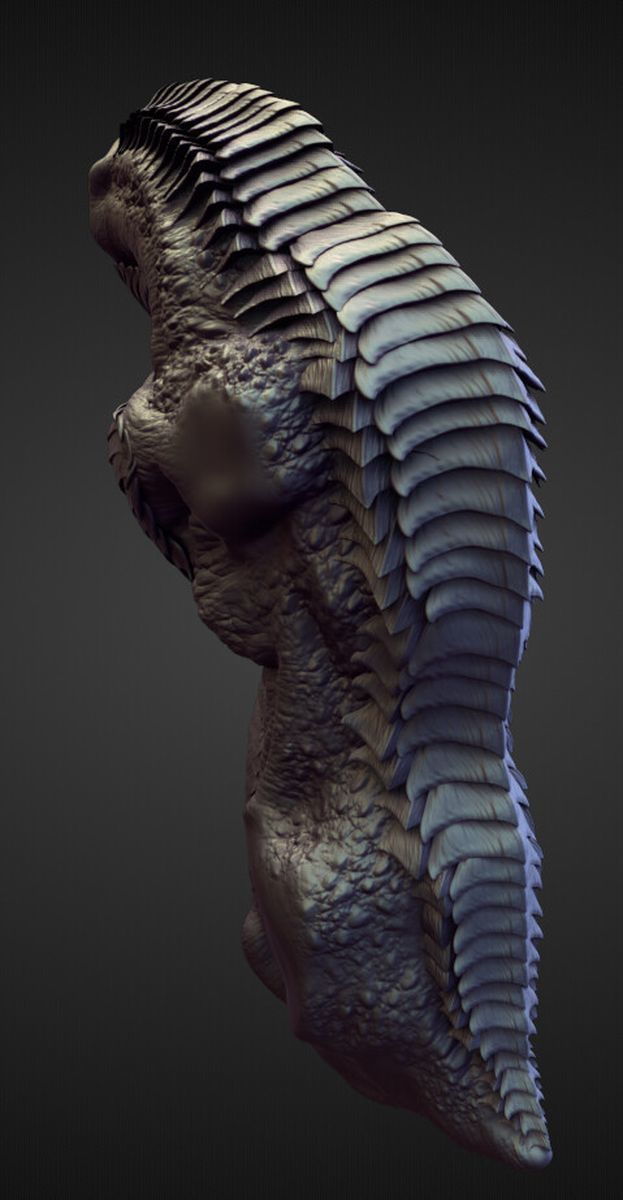 TORSO29 high poly sculpt 3D model_2
