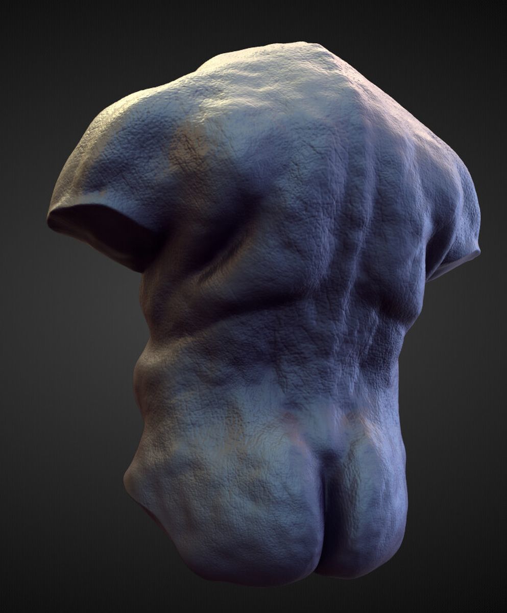 TORSO3 high poly sculpt 3D model_1