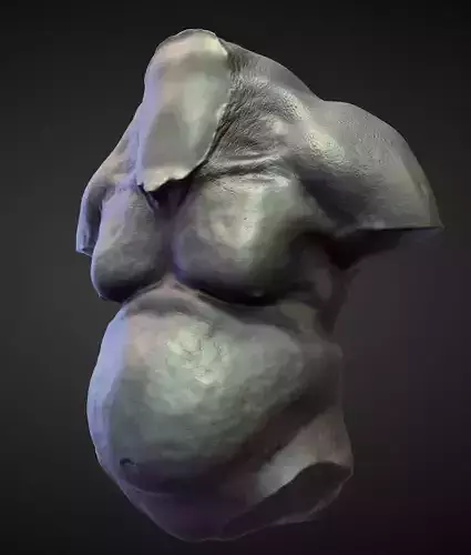 TORSO3 high poly sculpt 3D model