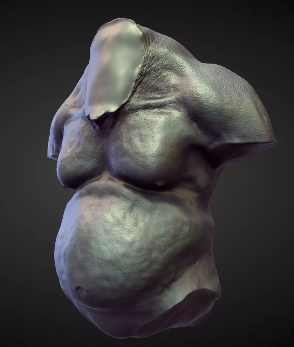 TORSO3 high poly sculpt 3D model_0