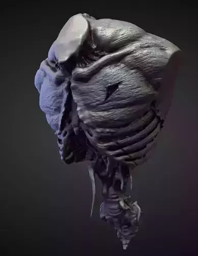 TORSO31 high poly sculpt 3D model
