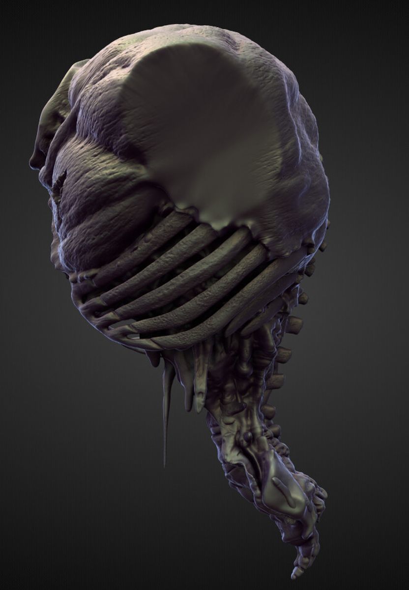 TORSO31 high poly sculpt 3D model_1