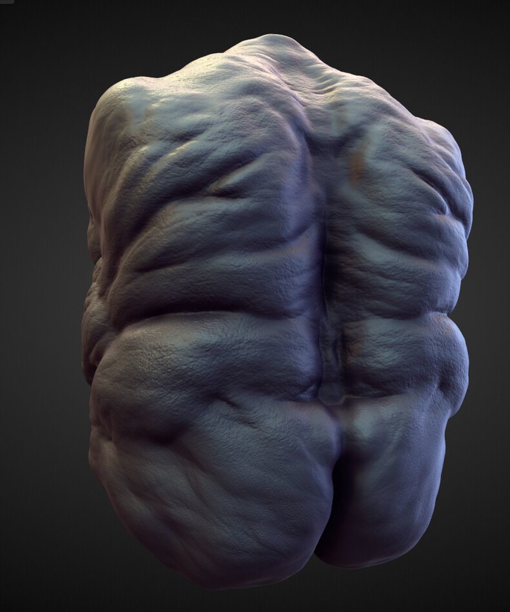 TORSO33 high poly sculpt 3D model_2