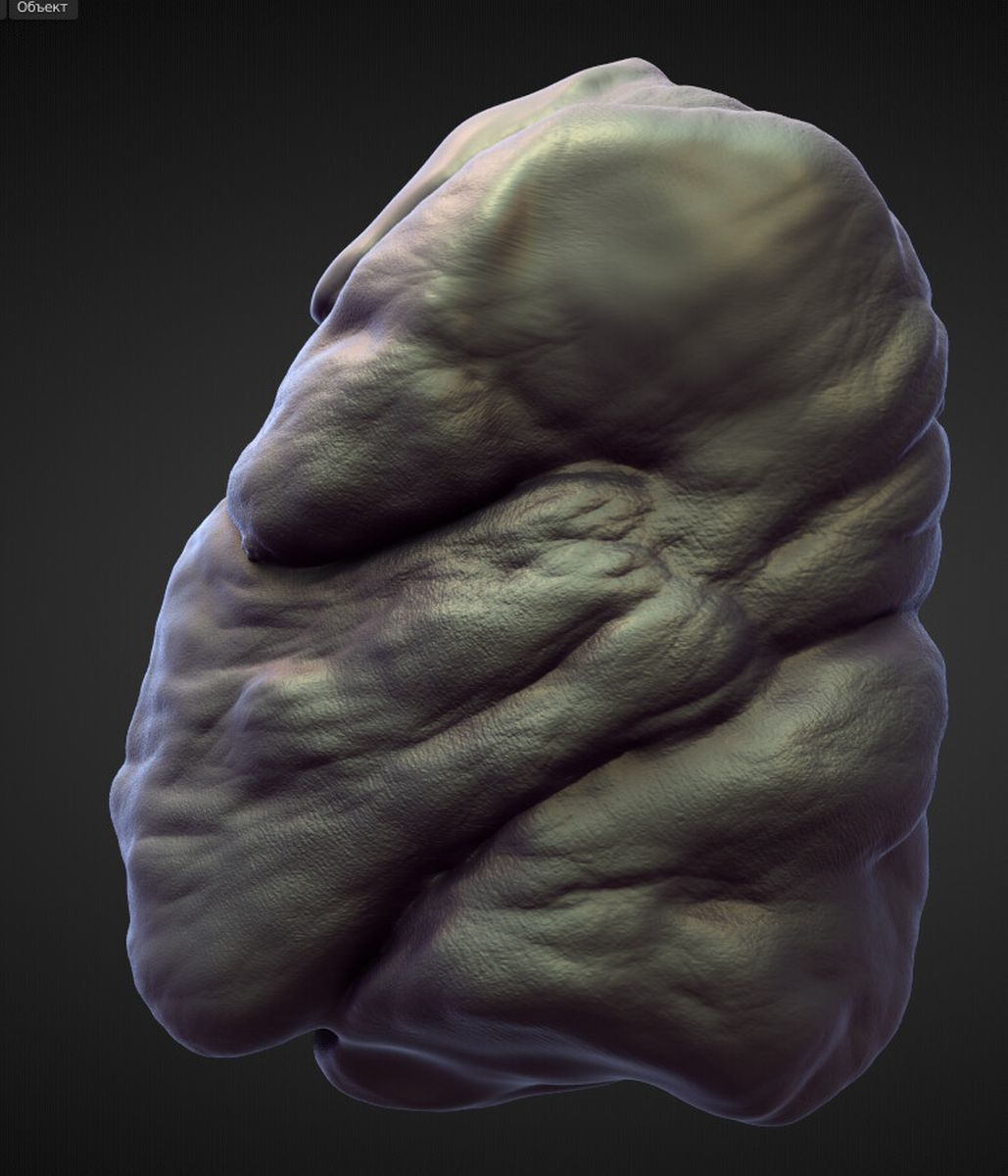 TORSO33 high poly sculpt 3D model_1