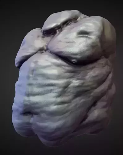 TORSO33 high poly sculpt 3D model