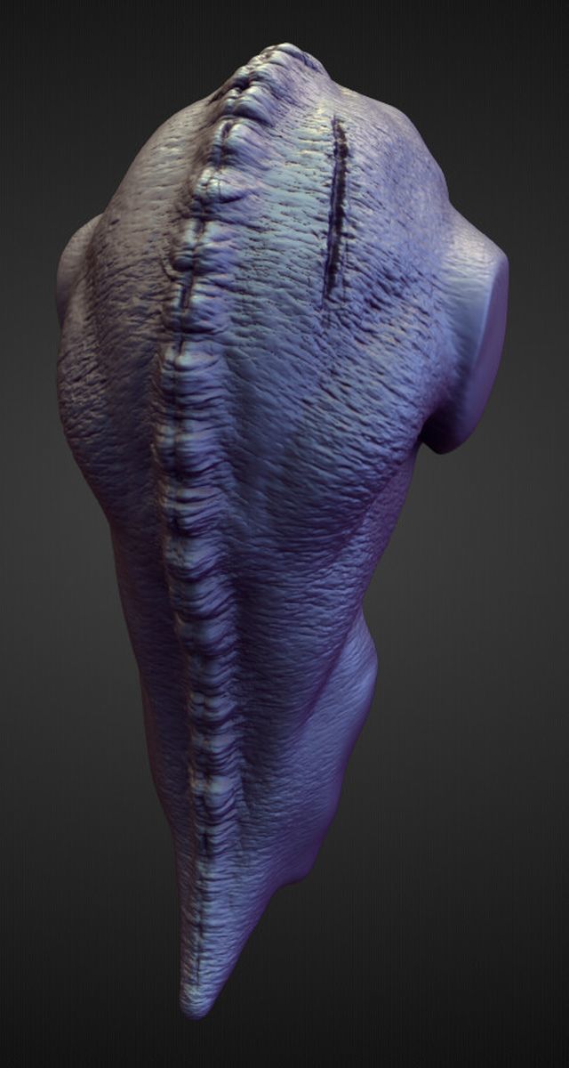 TORSO38 high poly sculpt 3D model_2
