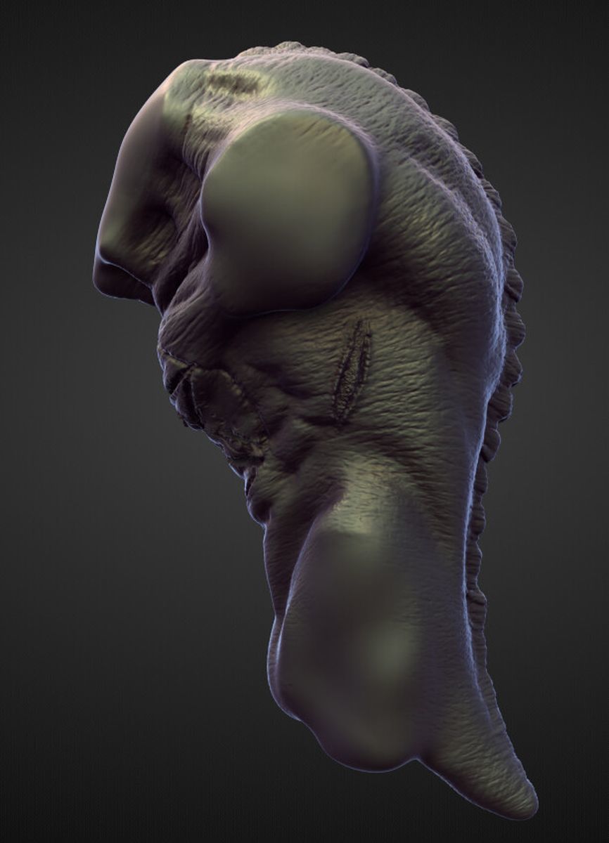 TORSO38 high poly sculpt 3D model_1