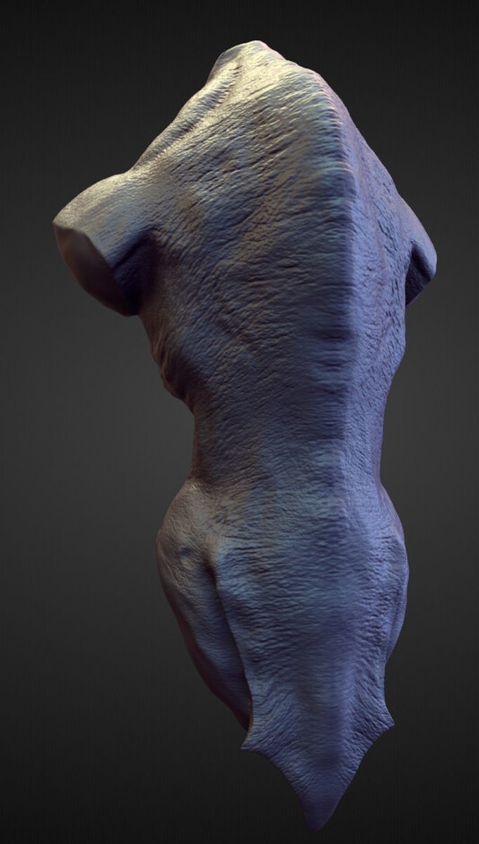 TORSO4 high poly sculpt 3D model_1