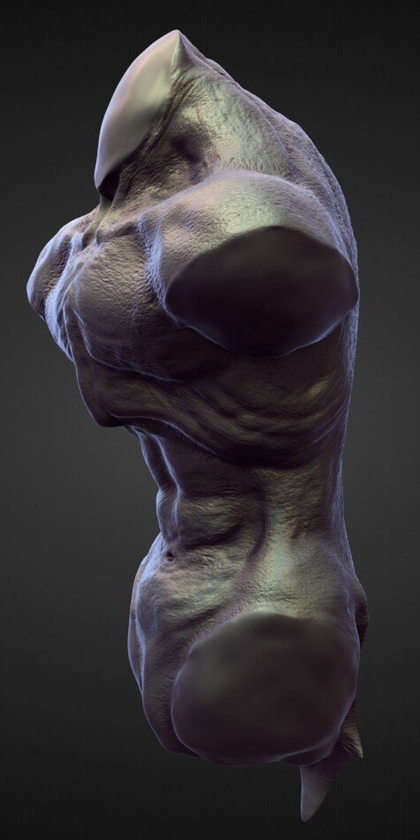 TORSO4 high poly sculpt 3D model_2