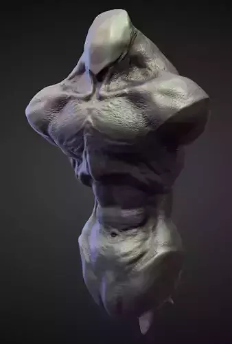 TORSO4 high poly sculpt 3D model