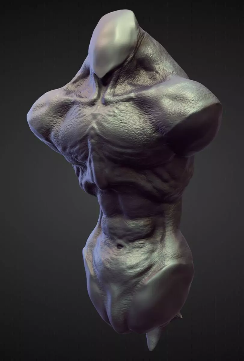 TORSO4 high poly sculpt 3D model_0