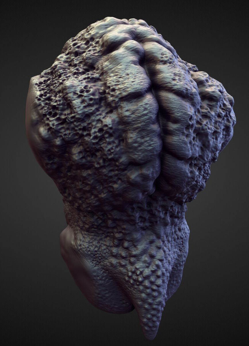 TORSO41 high poly sculpt 3D model_2