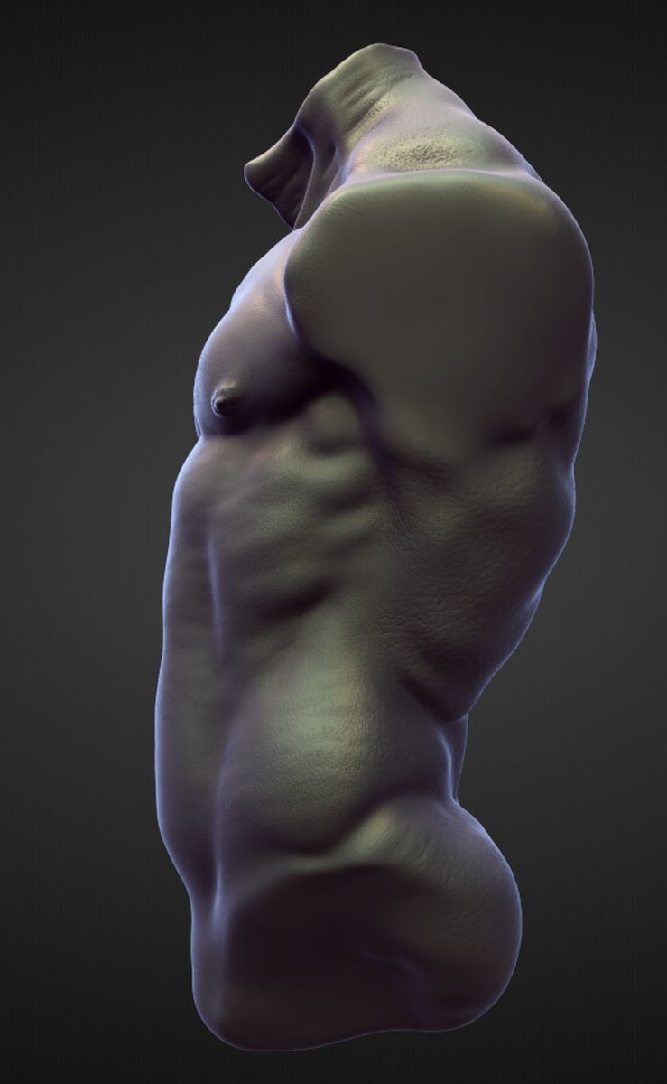 TORSO45 high poly sculpt 3D model_1