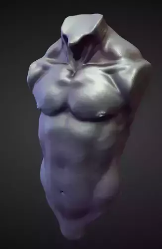 TORSO45 high poly sculpt 3D model
