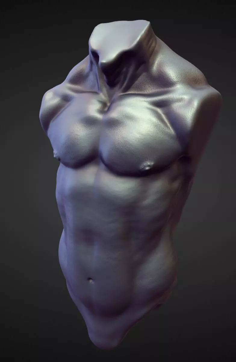 TORSO45 high poly sculpt 3D model_0