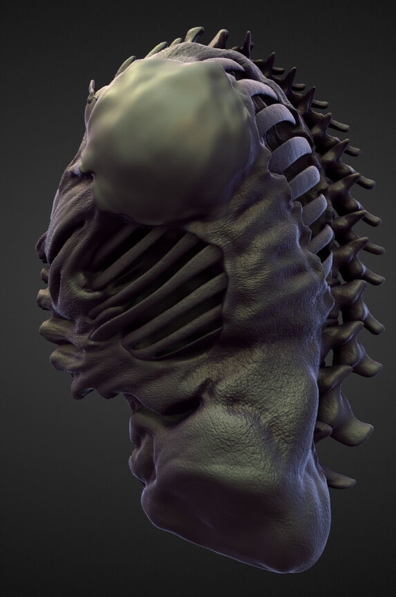 TORSO5 high poly sculpt 3D model_1