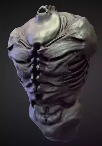 TORSO5 high poly sculpt 3D model