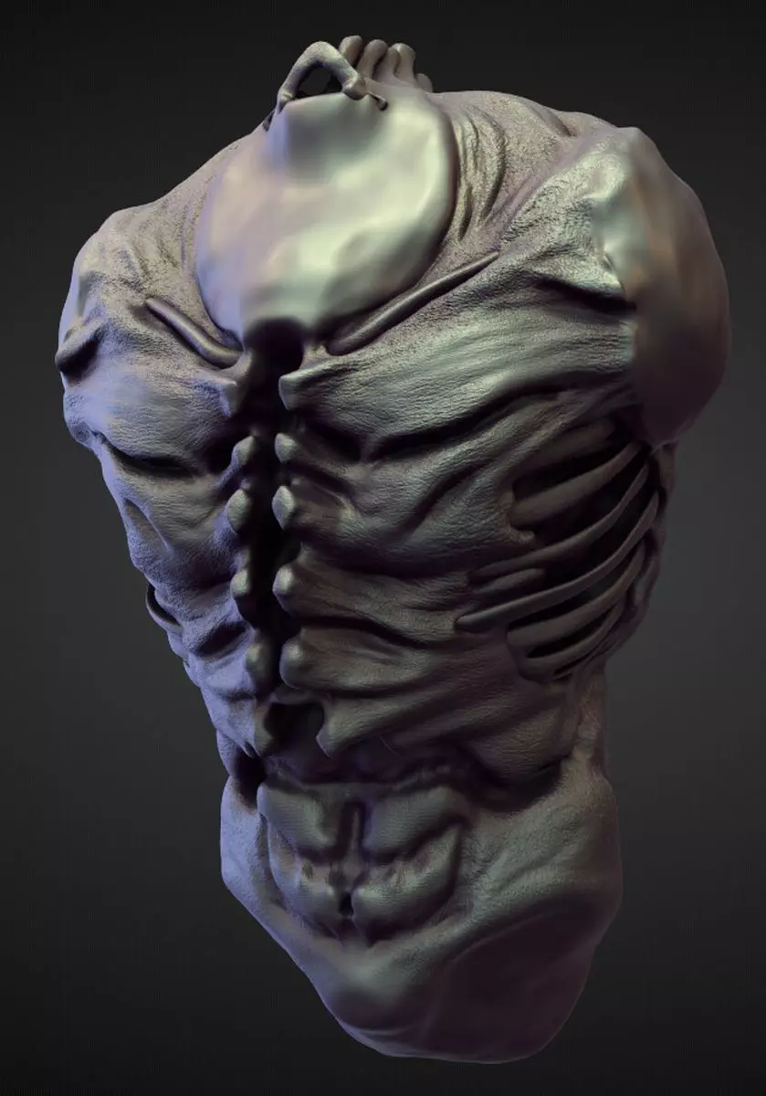 TORSO5 high poly sculpt 3D model_0