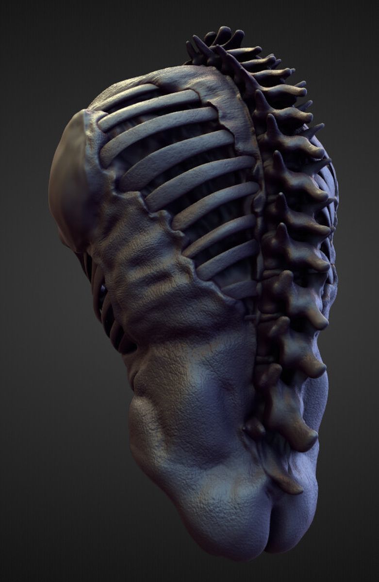 TORSO5 high poly sculpt 3D model_2