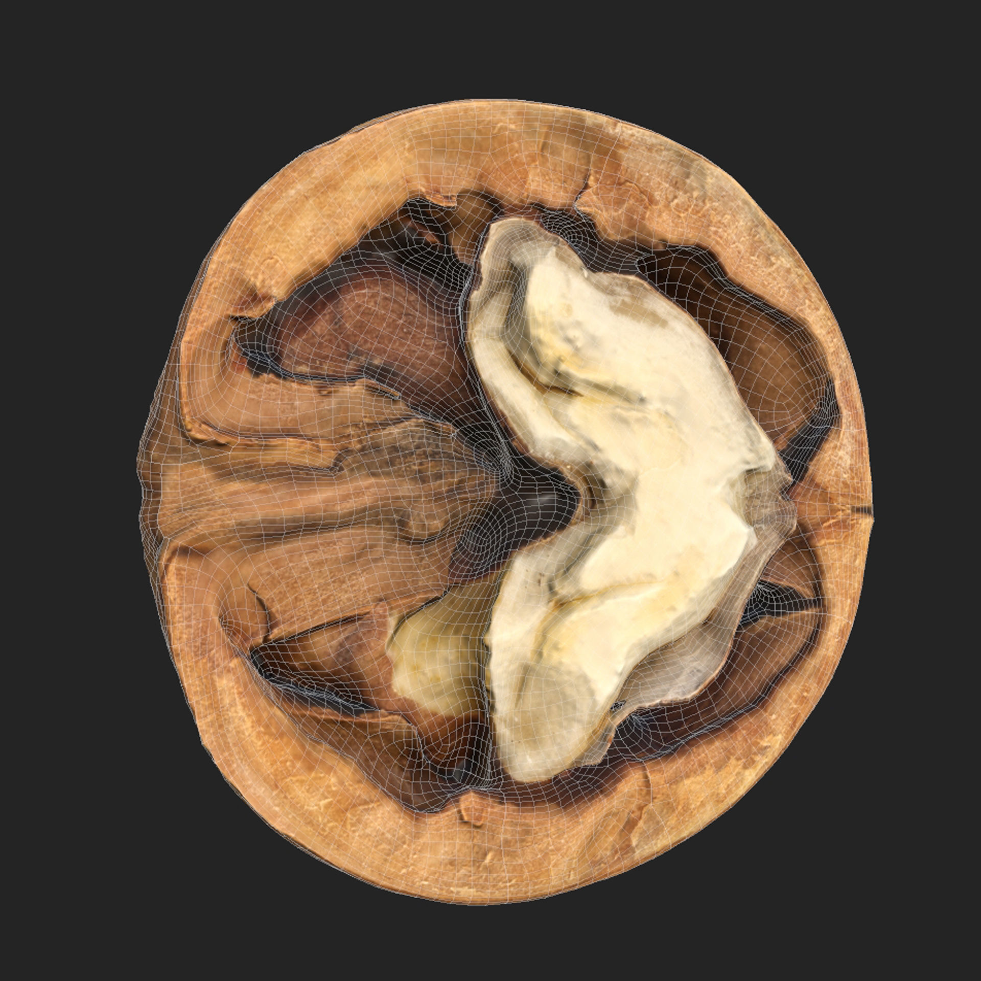 Walnut half  Low-poly 3D model_4