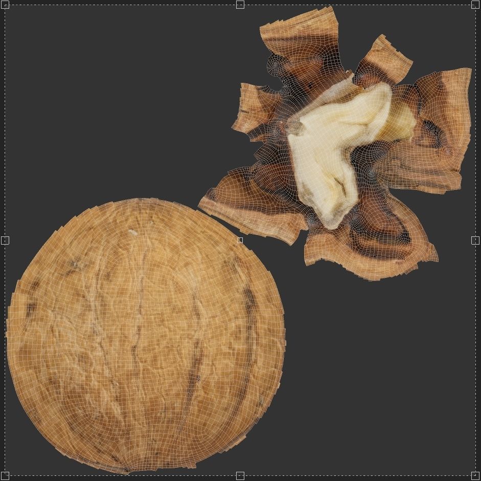 Walnut half  Low-poly 3D model_5
