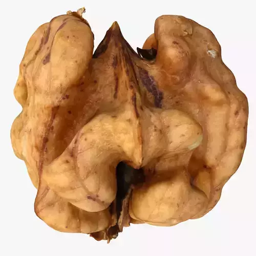Walnut Kernel