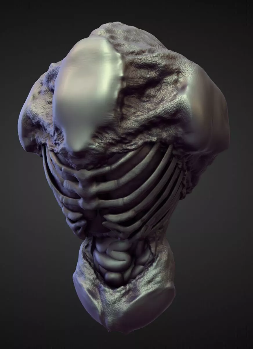 TORSO8 high poly sculpt 3D model_0