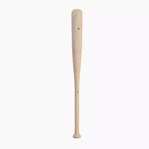 Baseball Bat