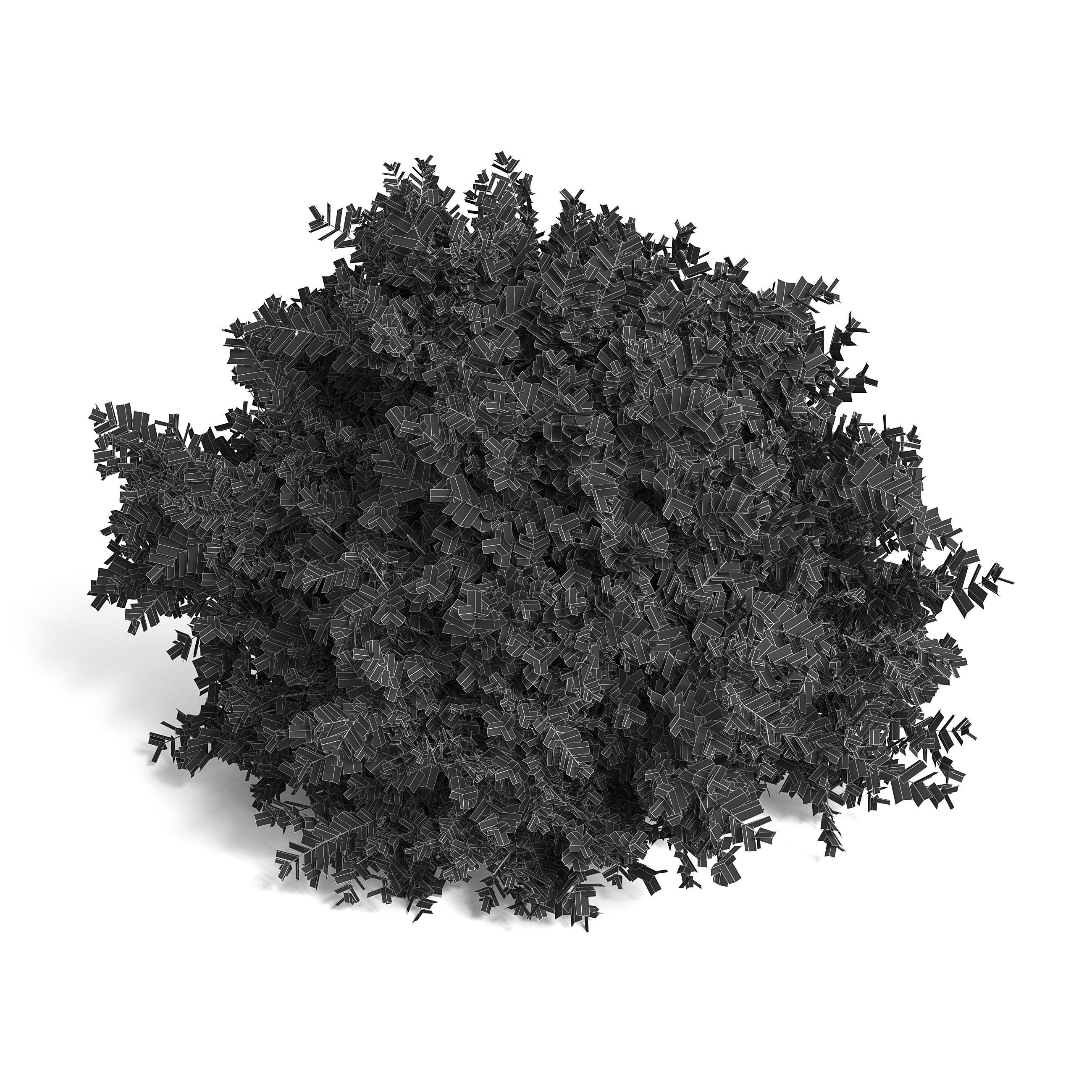 Common Box Shrub II 3D model_6