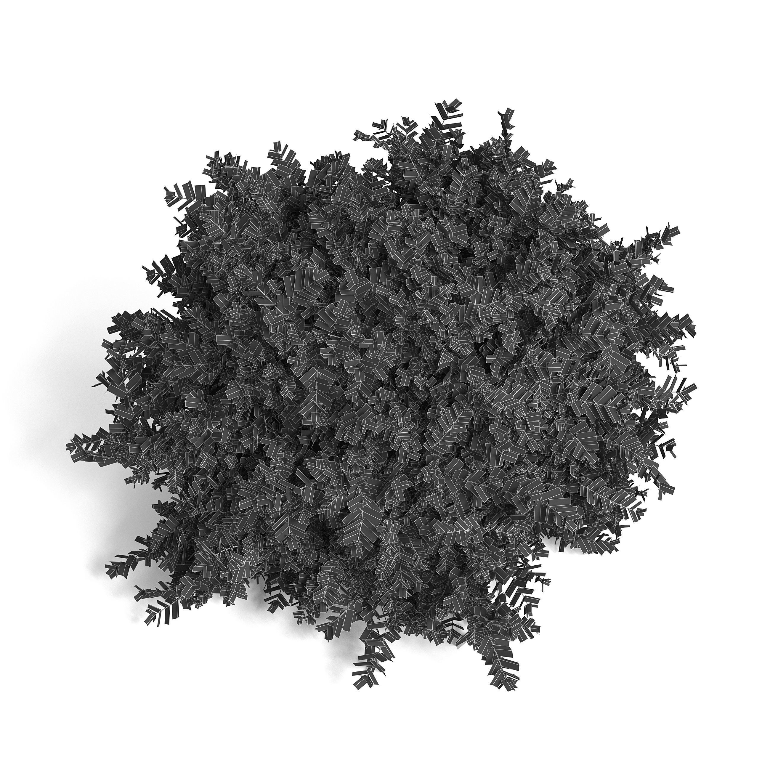 Common Box Shrub II 3D model_7