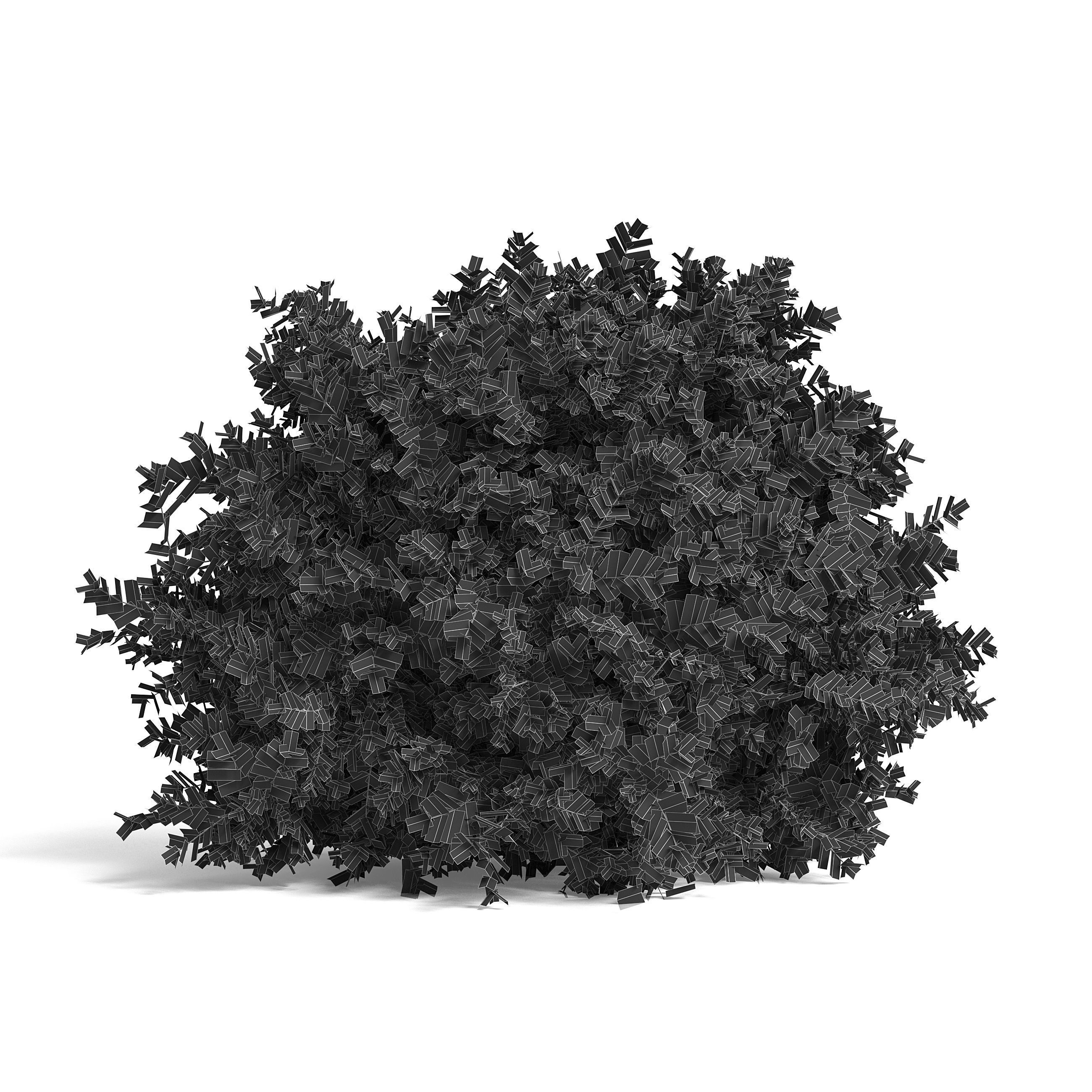 Common Box Shrub II 3D model_5