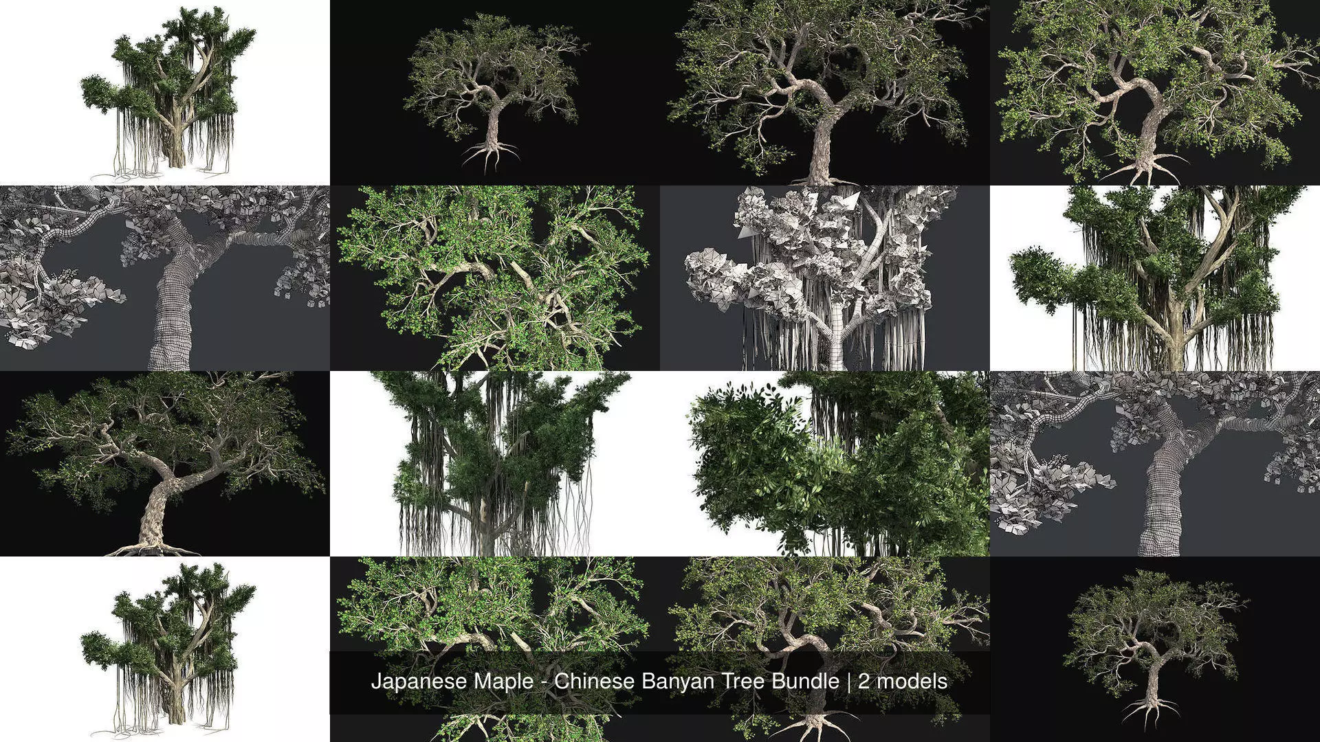 Japanese Maple - Chinese Banyan Tree Bundle 3D Model Collection_0
