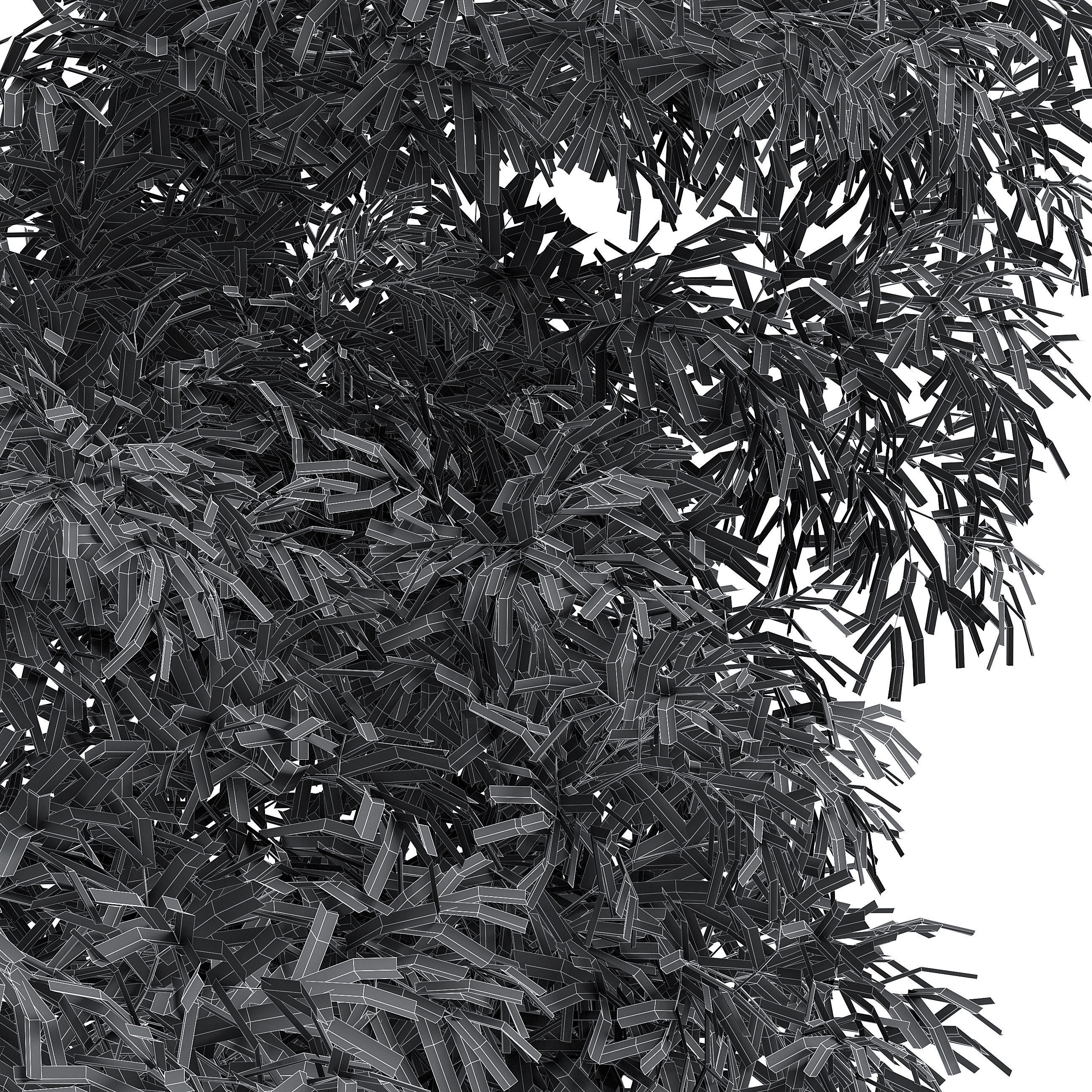 Olive Tree I 3D model_7