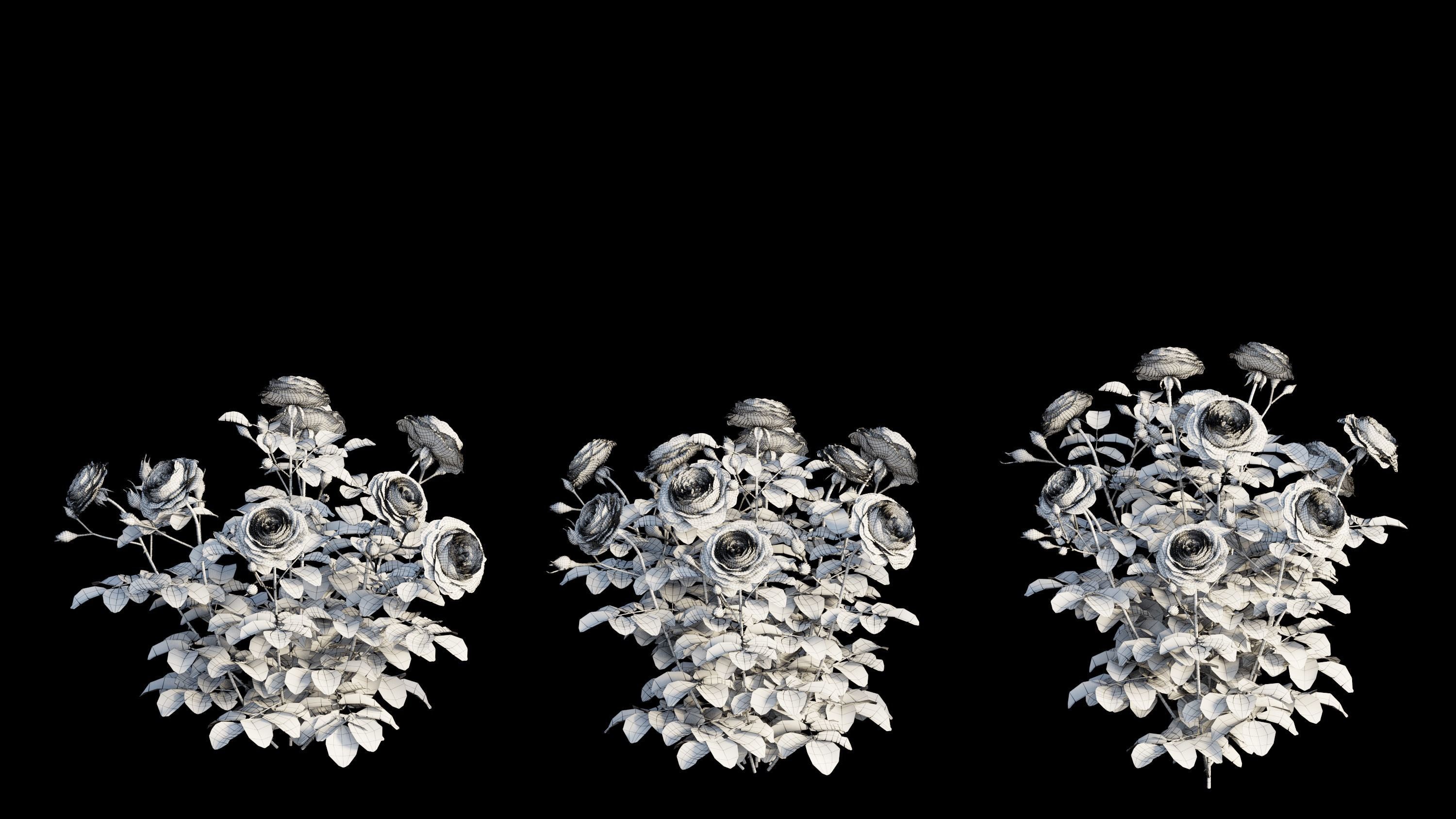 Queen Of Sweden Rose  3D model_10