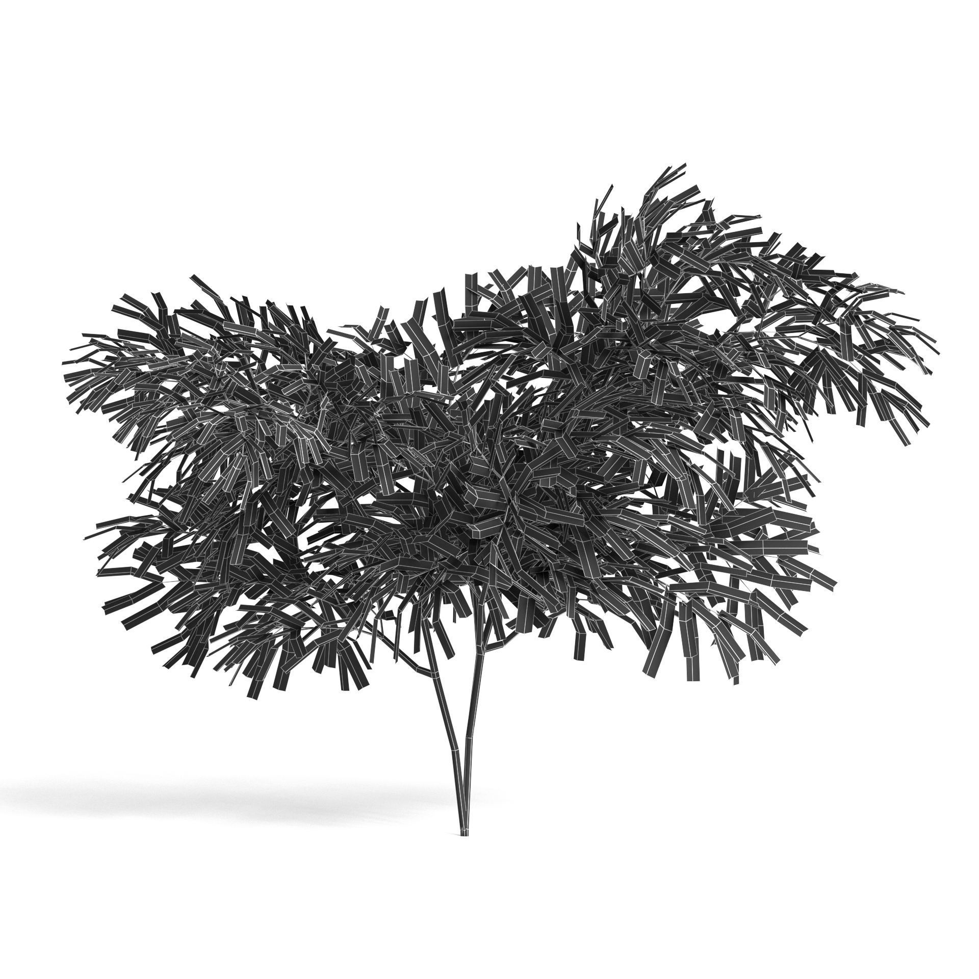 6 Olive Trees 3D model_17