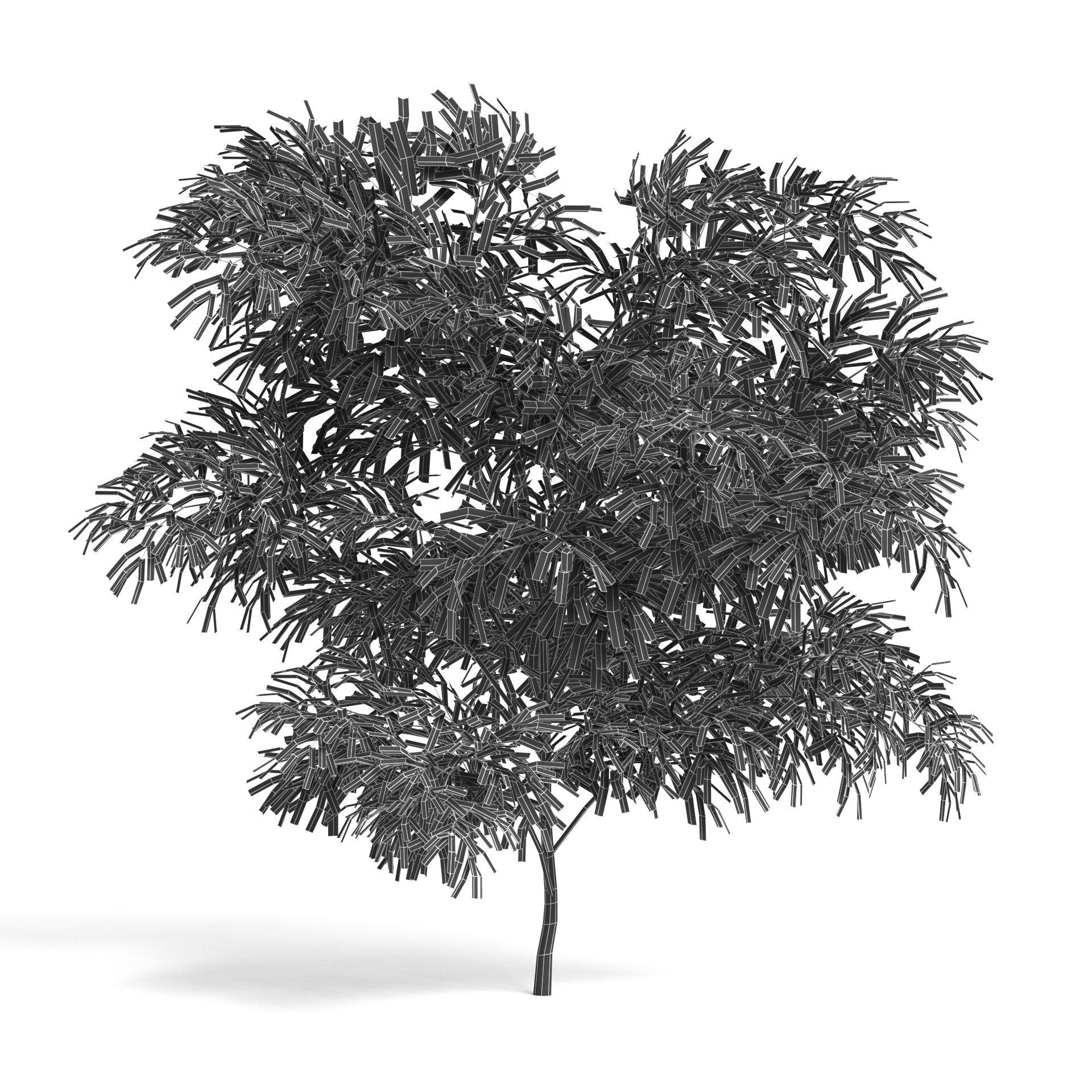 6 Olive Trees 3D model_14