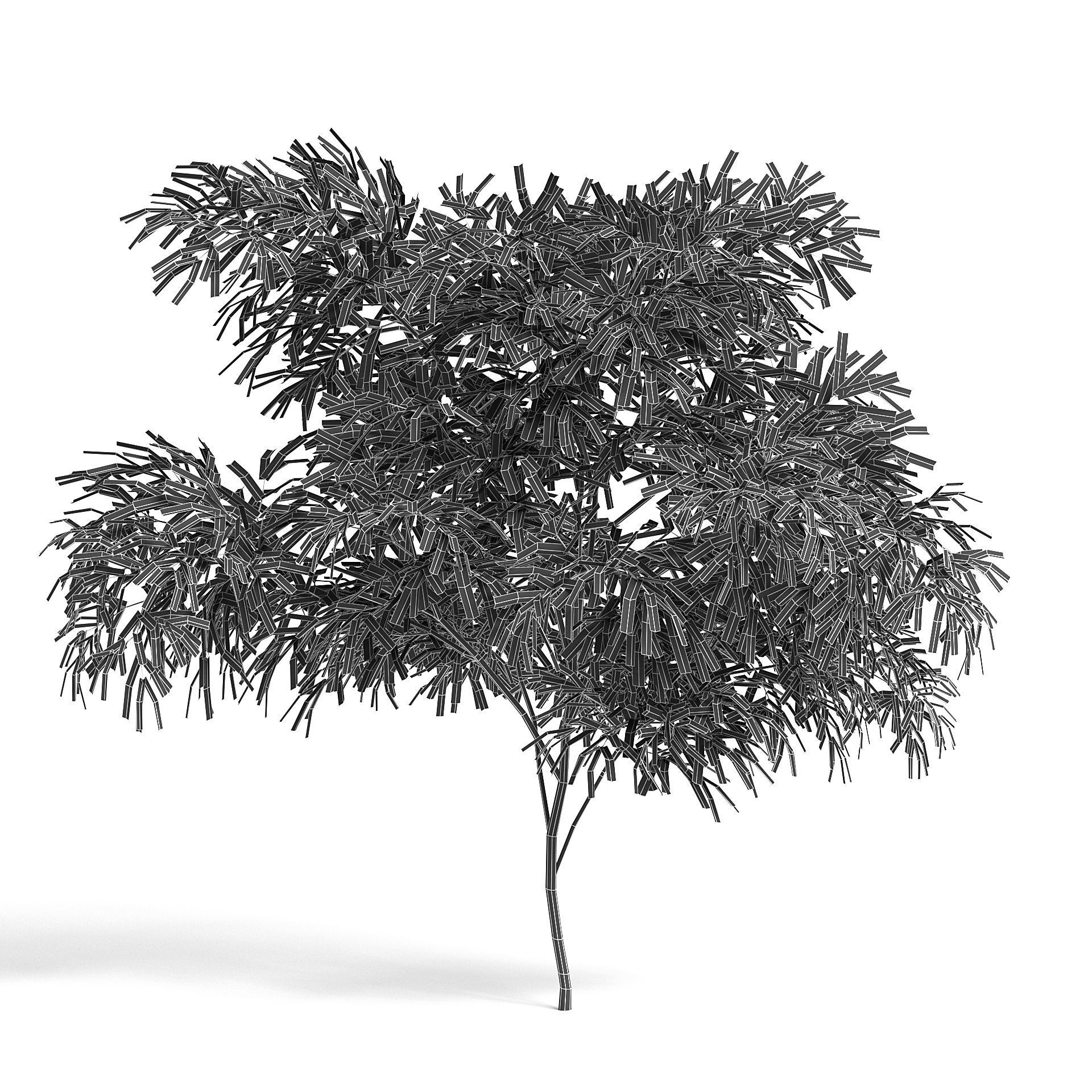6 Olive Trees 3D model_11