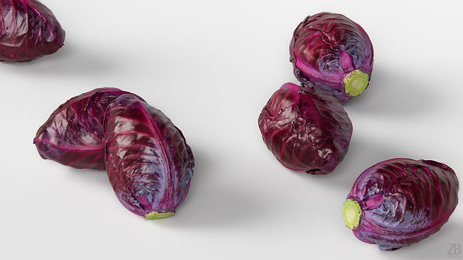 Cabbage 3D model 3