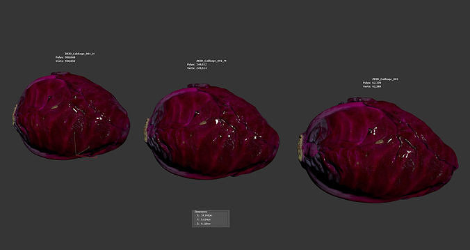 Cabbage 3D model 6