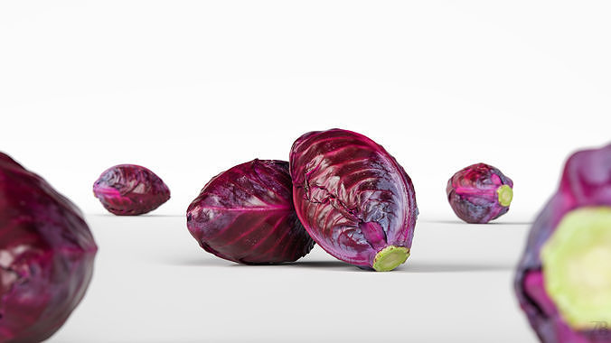 Cabbage 3D model 2