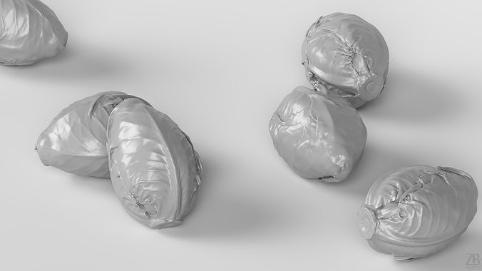 Cabbage 3D model 4